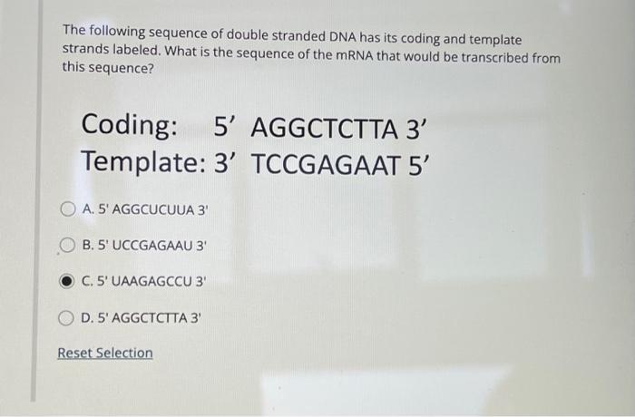 The Following Sequence Of Double Stranded Dna Has Its Coding And Template Strands Labeled What Is The Sequence Of The M 1