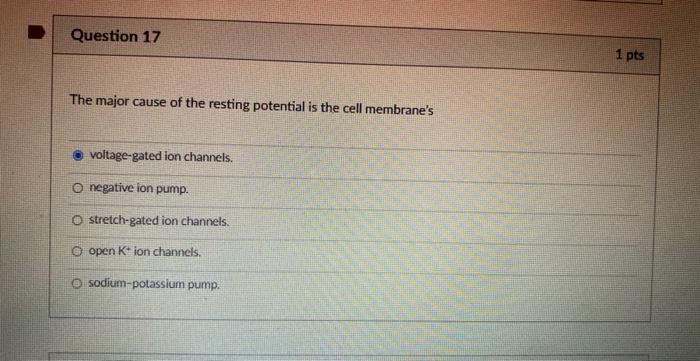 Question 17 1 Pts The Major Cause Of The Resting Potential Is The Cell Membrane S Voltage Gated Ion Channels O Negative 1