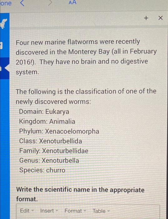 One Aa X 2 Four New Marine Flatworms Were Recently Discovered In The Monterey Bay All In February 2016 They Have N 1