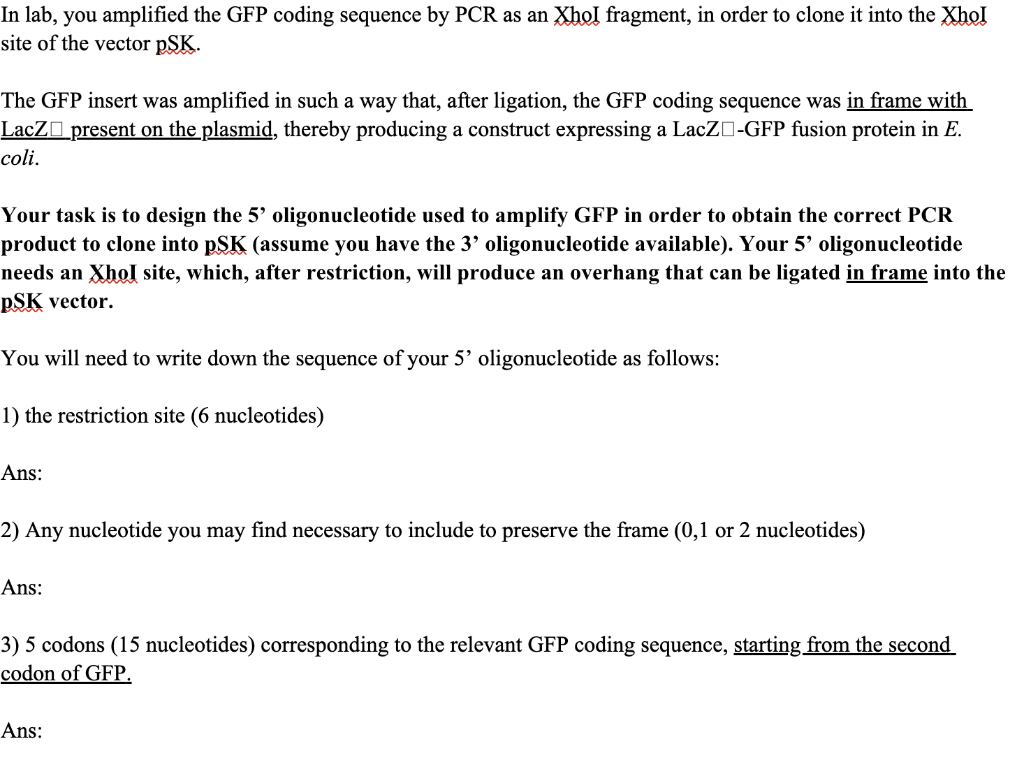 In Lab You Amplified The Gfp Coding Sequence By Pcr As An Xhos Fragment In Order To Clone It Into The Xhol Site Of The 1