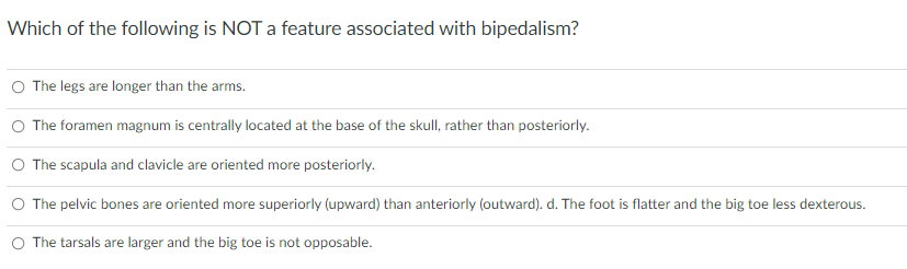 Which Of The Following Is Not A Feature Associated With Bipedalism The Legs Are Longer Than The Arms The Foramen Magnu 1