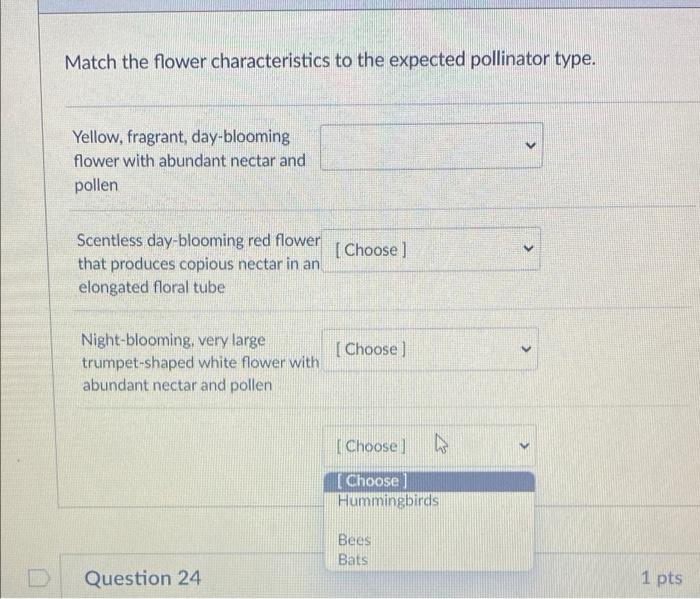 Which Statement Is True Of All Vascular Plants It Depends On The Plant Species All Listed Choices Occur In Vascular Pl 2