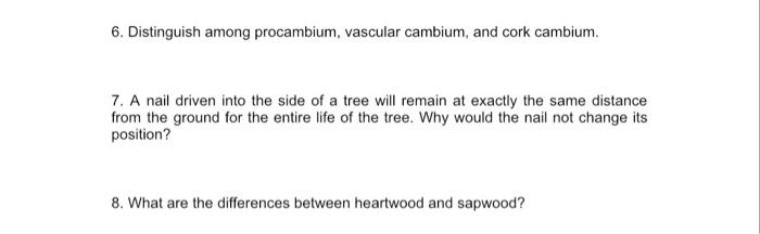 1 What Structures Constitute The Wood The Bark 2 What Causes The Increase In Diameter Of An Old Woody Dicot Stem 3 3