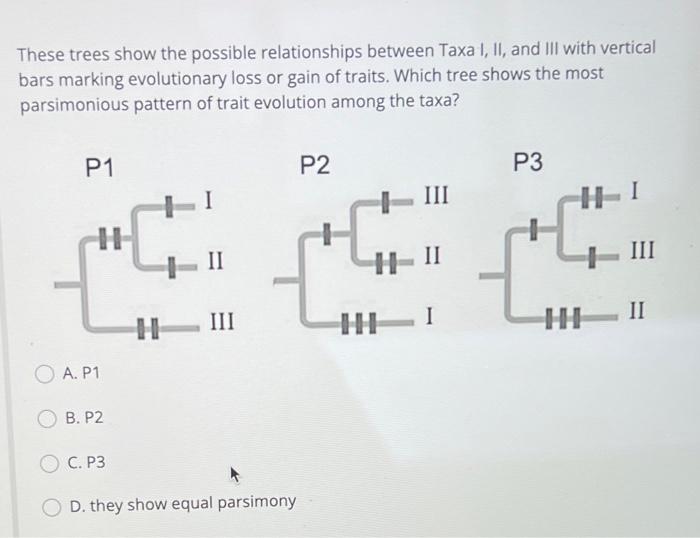 These Trees Show The Possible Relationships Between Taxa I Ii And Iii With Vertical Bars Marking Evolutionary Loss Or 1