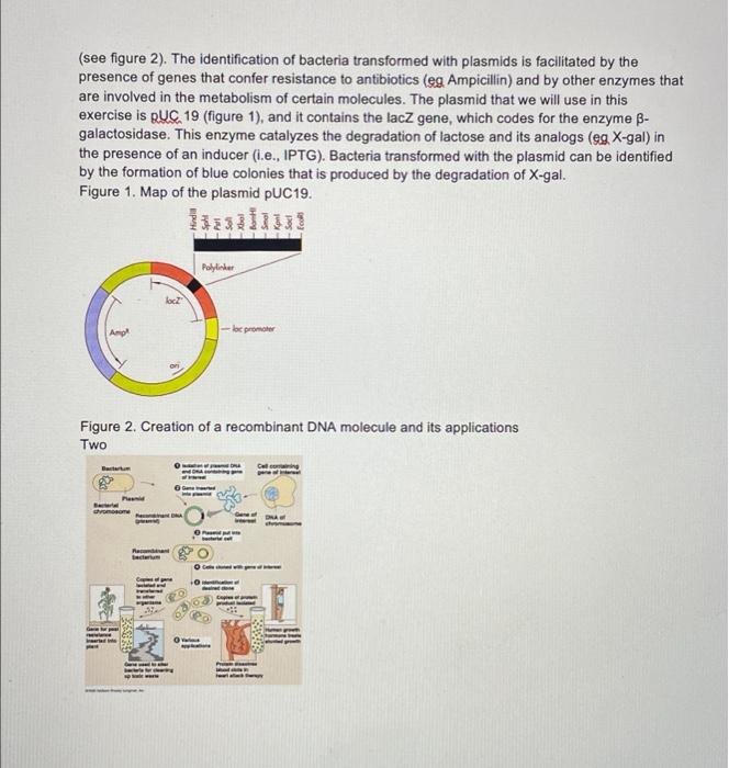 After Reading The Following Document About Bacteria Transformation Propose A New Idea For The Laboratory These Have To 2