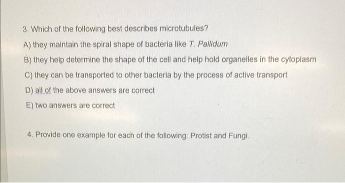 1 Describe The Relevance Of Magnification In Microscopy During Our Lab Talk We Discussed Another Term Which In Addit 2