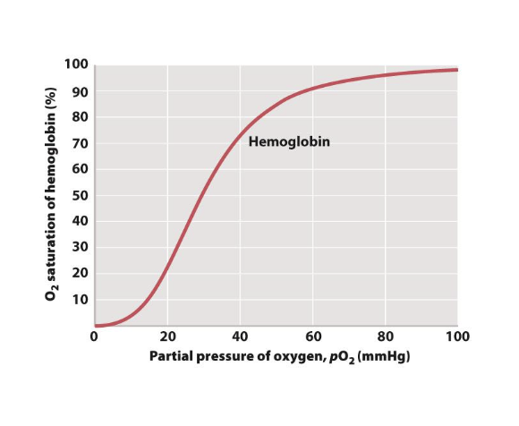 1 Explain How The Human Body Regulates Breathing In Response To The Body S Demands For Oxygen In Your Explanation Try 1