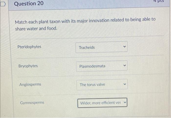 Question 20 Match Each Plant Taxon With Its Major Innovation Related To Being Able To Share Water And Food Pteridophyte 1