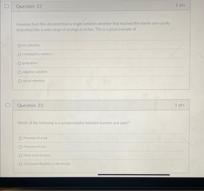 Question 22 1 Pts Hawaiian Fruit Flies Descend From A Single Common Ancestor That Reached The Islands And Rapidly Divers 1