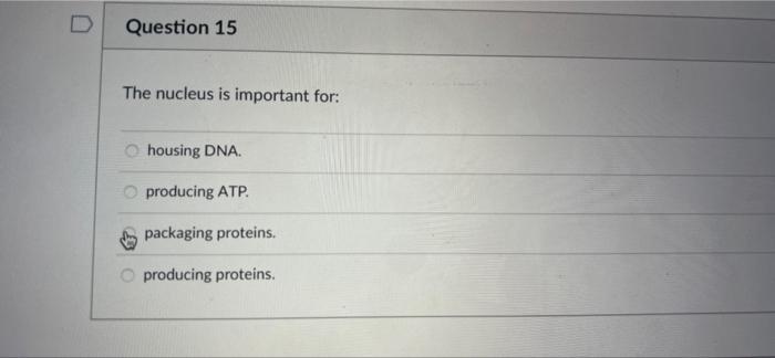 Question 15 The Nucleus Is Important For Housing Dna Producing Atp Packaging Proteins Producing Proteins 1