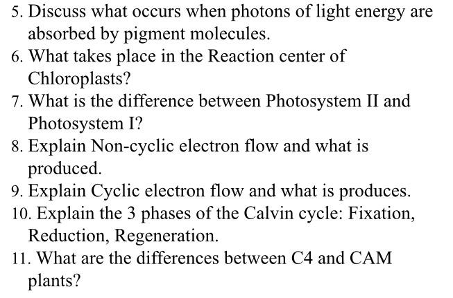 5 Discuss What Occurs When Photons Of Light Energy Are Absorbed By Pigment Molecules 6 What Takes Place In The Reacti 1