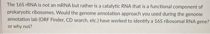 The 16s Rrna Is Not An Mrna But Rather Is A Catalytic Rna That Is A Functional Component Of Prokaryotic Ribosomes Would 1