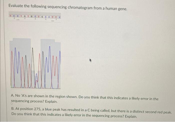 Evaluate The Following Sequencing Chromatogram From A Human Gene Cct To Ctc Ctc A No A S Are Shown In The Region Show 1