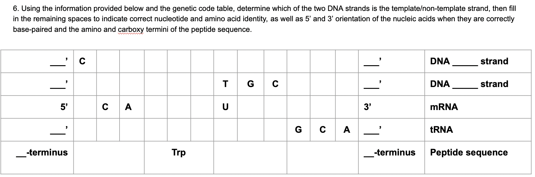 6 Using The Information Provided Below And The Genetic Code Table Determine Which Of The Two Dna Strands Is The Templa 1