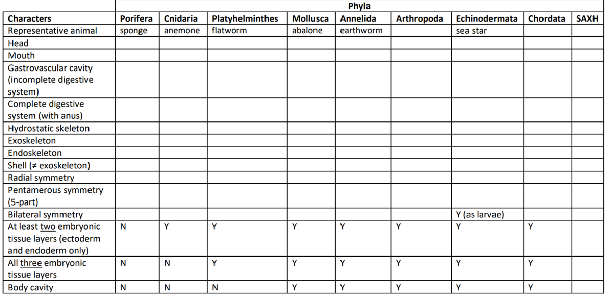 Please Help To Complete The Chart And The Phylogenetic Tree A Complete This Chart Note That Some Characters Have Alre 1