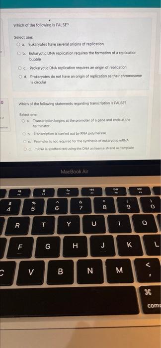 Which Of The Following Is False Select One O A Eukaryotes Have Several Origins Of Replication O B Eukaryotic Dna Repl 1