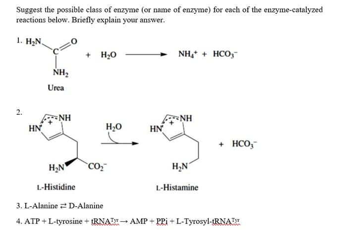 Suggest The Possible Class Of Enzyme Or Name Of Enzyme For Each Of The Enzyme Catalyzed Reactions Below Briefly Expla 1