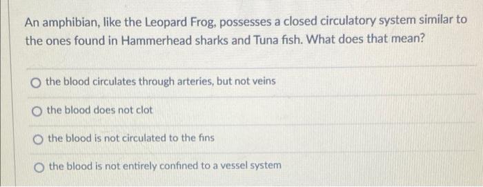 An Amphibian Like The Leopard Frog Possesses A Closed Circulatory System Similar To The Ones Found In Hammerhead Shark 1