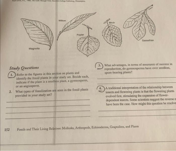 From The Forth This Suns College Naing Thadeia Willow Birch Poplar Sassafras Magnolia 3 What Advantages In Terms Of As 1