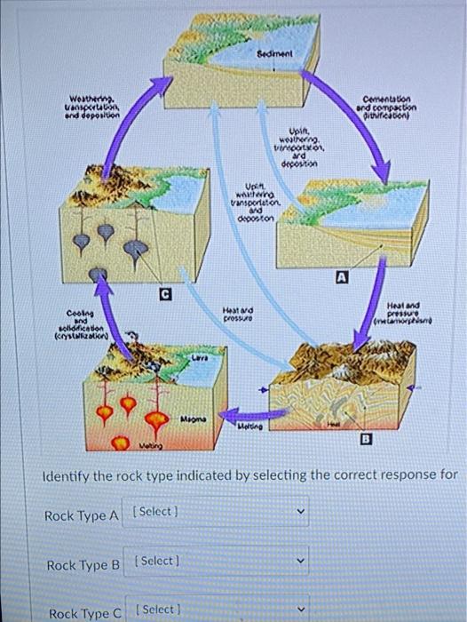 Sediment Western Lansparen And Deposition Commentation And Competion Diucabon Upit Woulin Virector Ad Decosten Vplit W 1