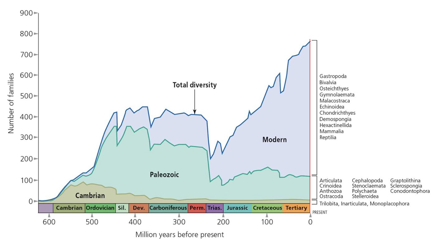 Some People Argue That Extinctions Resulting From Environmental Changes E G Climate Change Habitat Loss Etc Are N 1