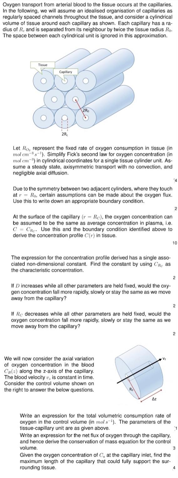 Oxygen Transport From Arterial Blood To The Tissue Occurs At The Capillaries In The Following We Will Assume An Ideali 1