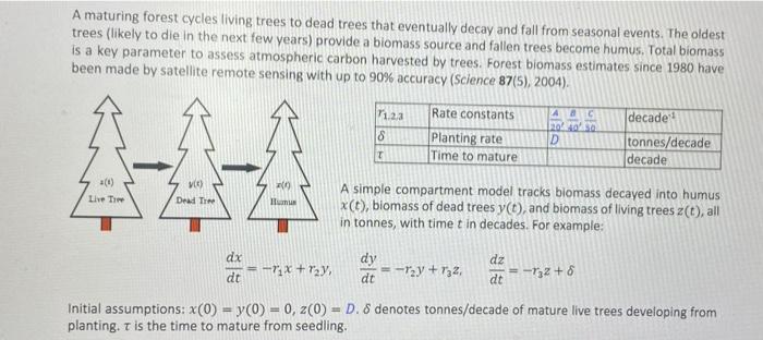 A Maturing Forest Cycles Living Trees To Dead Trees That Eventually Decay And Fall From Seasonal Events The Oldest Tree 1