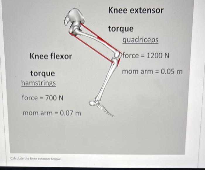 Knee Extensor Torque Quadriceps Knee Flexor Force 1200 N Mom Arm 0 05 M Torque Hamstrings Force 700 N Mom Arm 0 1