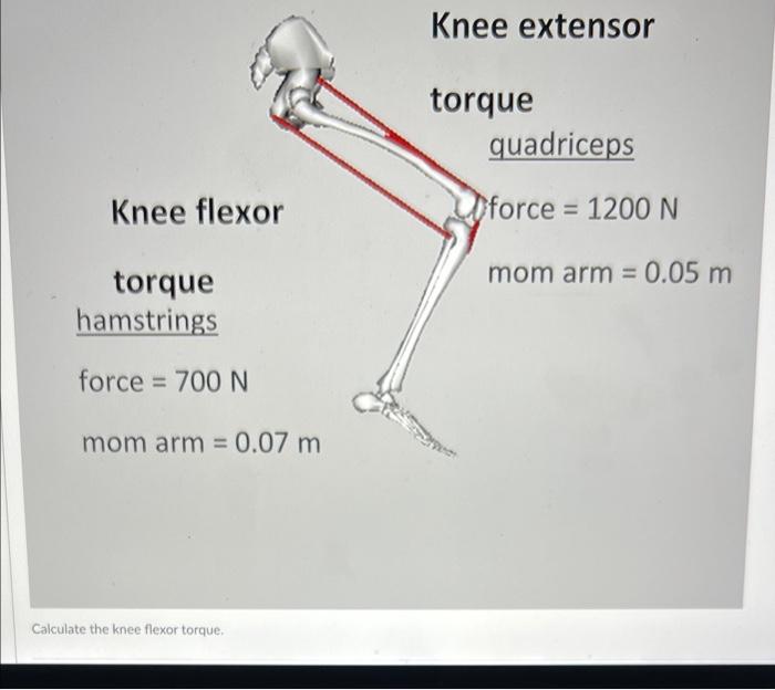 Knee Extensor Torque Quadriceps Knee Flexor Dforce 1200 N Mom Arm 0 05 M Torque Hamstrings Force 700 N Mom Arm 0 1
