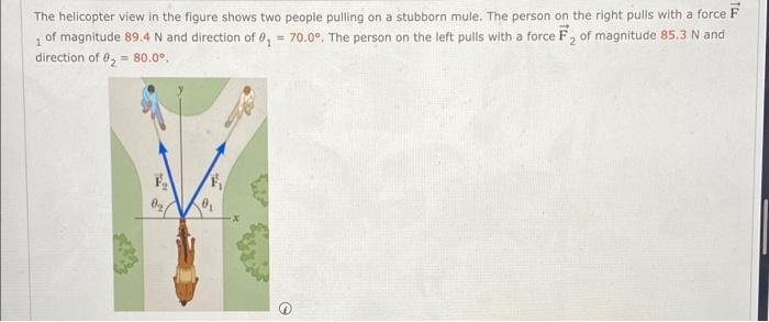 The Helicopter View In The Figure Shows Two People Pulling On A Stubborn Mule The Person On The Right Pulls With A Forc 2