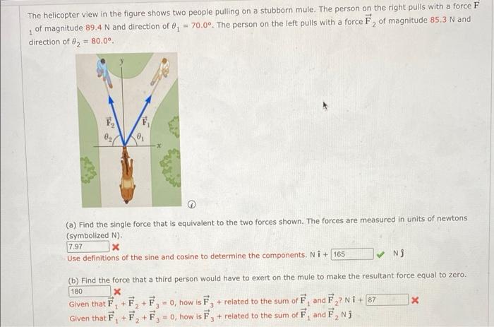2 The Helicopter View In The Figure Shows Two People Pulling On A Stubborn Mule The Person On The Right Pulls With A Fo 1