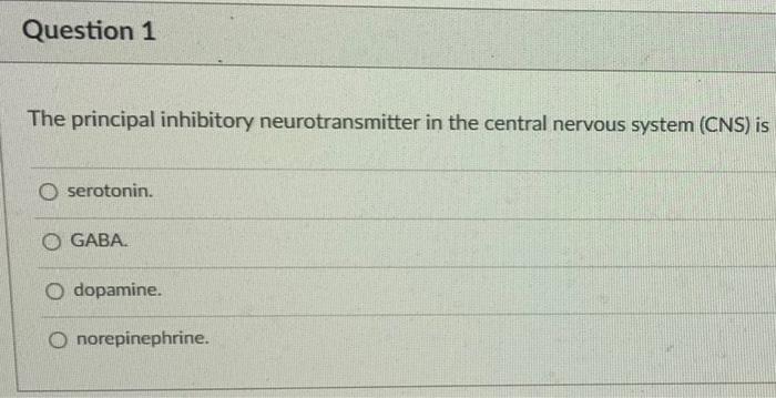 Question 1 The Principal Inhibitory Neurotransmitter In The Central Nervous System Cns Is O Serotonin O Gaba O Dopam 1