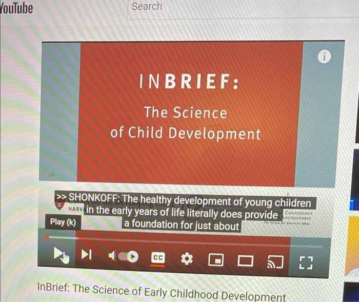 Video Reflection T Https Www Youtube Com Watch V Wo Cb2nsqta T 120s Please View The Science Of Early Childhood Develop 2