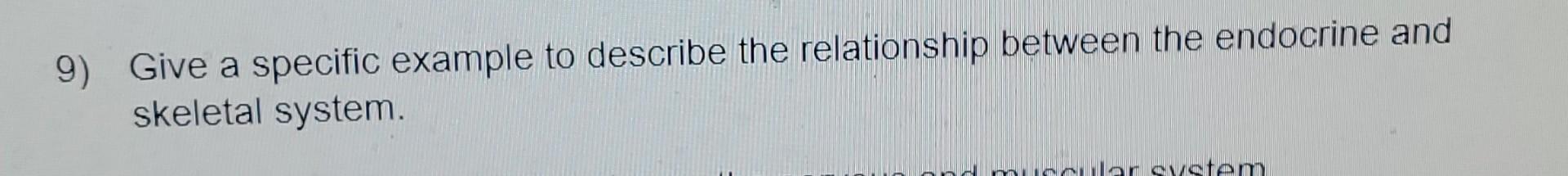 9 Give A Specific Example To Describe The Relationship Between The Endocrine And Skeletal System Cular System 1