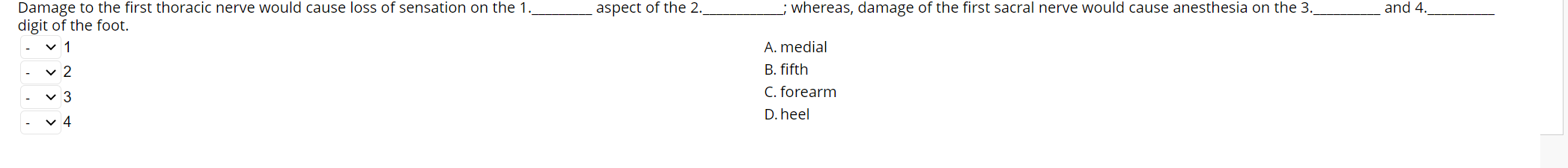 Aspect Of The 2 Whereas Damage Of The First Sacral Nerve Would Cause Anesthesia On The 3 And 4 Damage To The First T 1