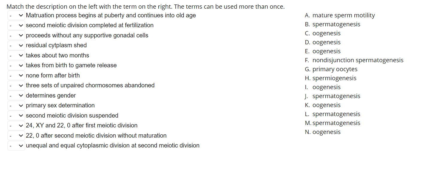 Match The Description On The Left With The Term On The Right The Terms Can Be Used More Than Once Matruation Process B 1