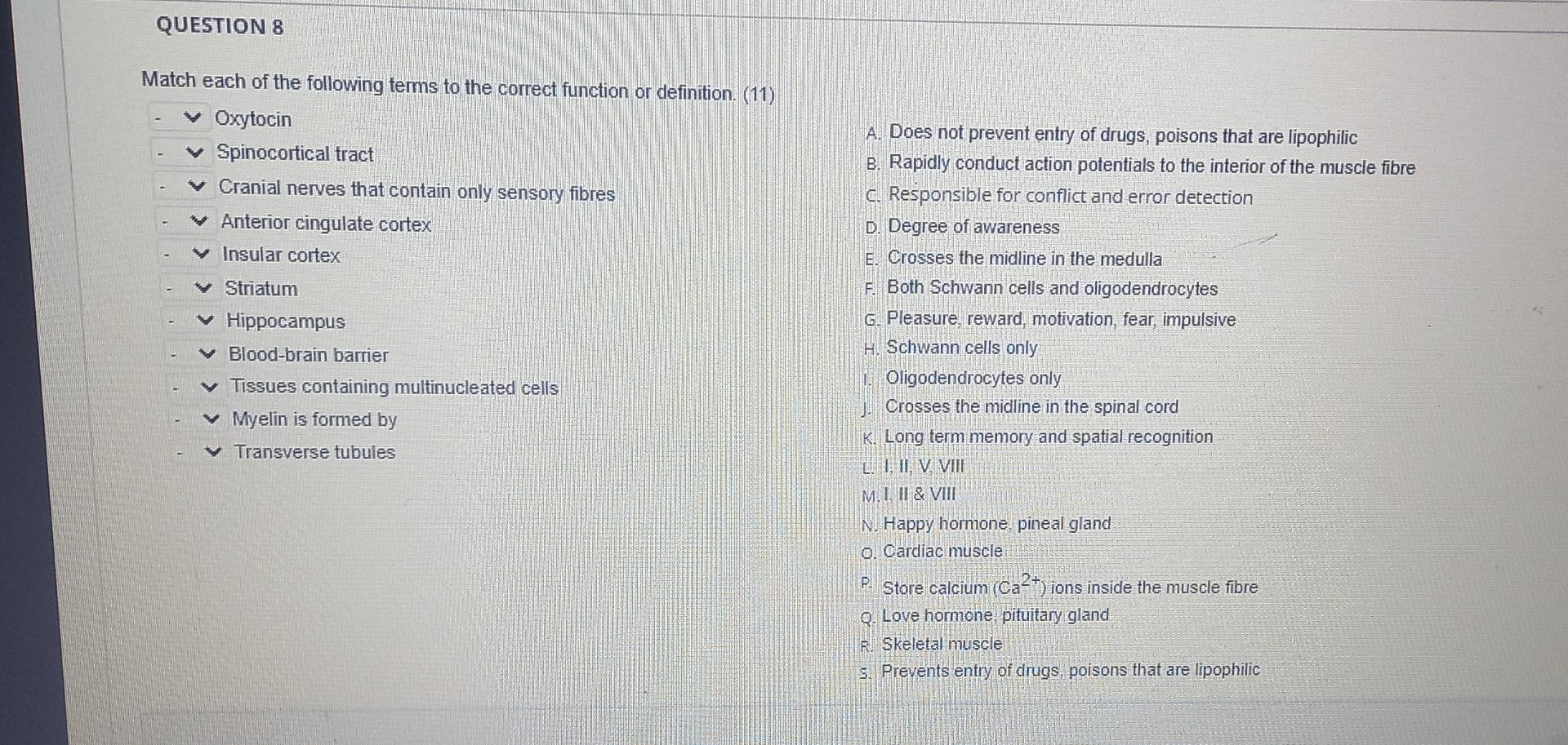 Question 8 Match Each Of The Following Terms To The Correct Function Or Definition 11 Oxytocin Spinocortical Tract Cr 1