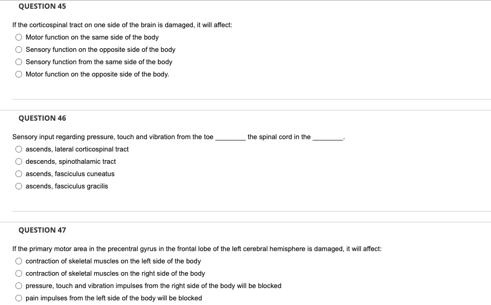 Question 45 If The Corticospinal Tract On One Side Of The Brain Is Damaged It Will Affect Motor Function On The Same S 1