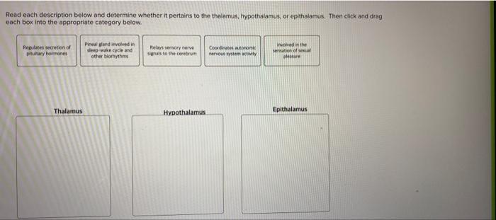Read Each Description Below And Determine Whether It Pertains To The Thalamus Hypothalamus Or Epithalamus Then Click 1