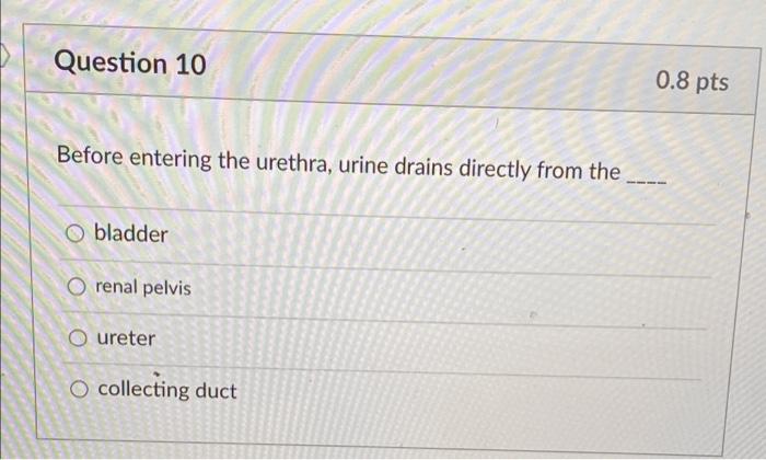 Question 10 0 8 Pts Before Entering The Urethra Urine Drains Directly From The O Bladder O Renal Pelvis O Ureter O Coll 1