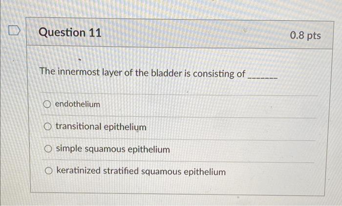 D Question 11 0 8 Pts The Innermost Layer Of The Bladder Is Consisting Of O Endothelium O Transitional Epithelium O Simp 1