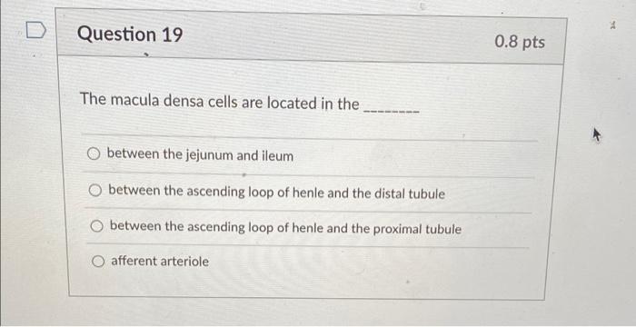 Question 19 0 8 Pts The Macula Densa Cells Are Located In The Between The Jejunum And Ileum Between The Ascending Loop O 1