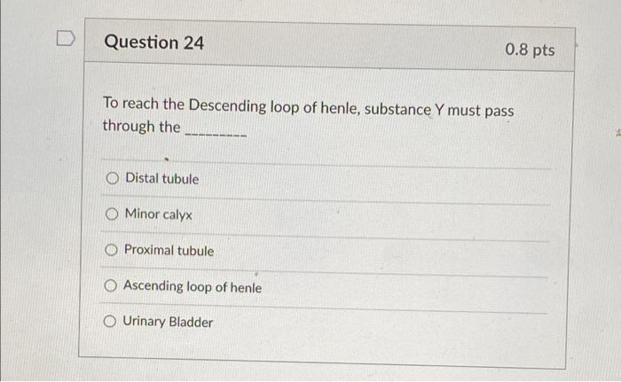 Question 24 0 8 Pts To Reach The Descending Loop Of Henle Substance Y Must Pass Through The Distal Tubule O Minor Calyx 1