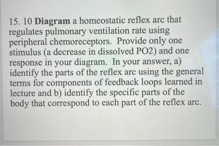 15 10 Diagram A Homeostatic Reflex Arc That Regulates Pulmonary Ventilation Rate Using Peripheral Chemoreceptors Provi 1