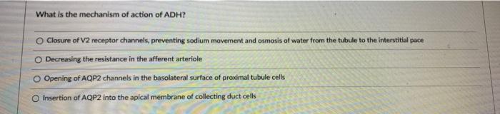 What Is The Mechanism Of Action Of Adh Closure Of V2 Receptor Channels Preventing Sodium Movement And Osmosis Af Water 1