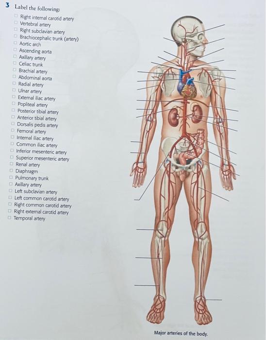 Please Help Fully Label Thank You 1