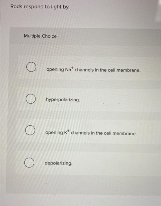 Rods Respond To Light By Multiple Choice O Opening Na Channels In The Cell Membrane O Hyperpolarizing O Opening K Ch 1
