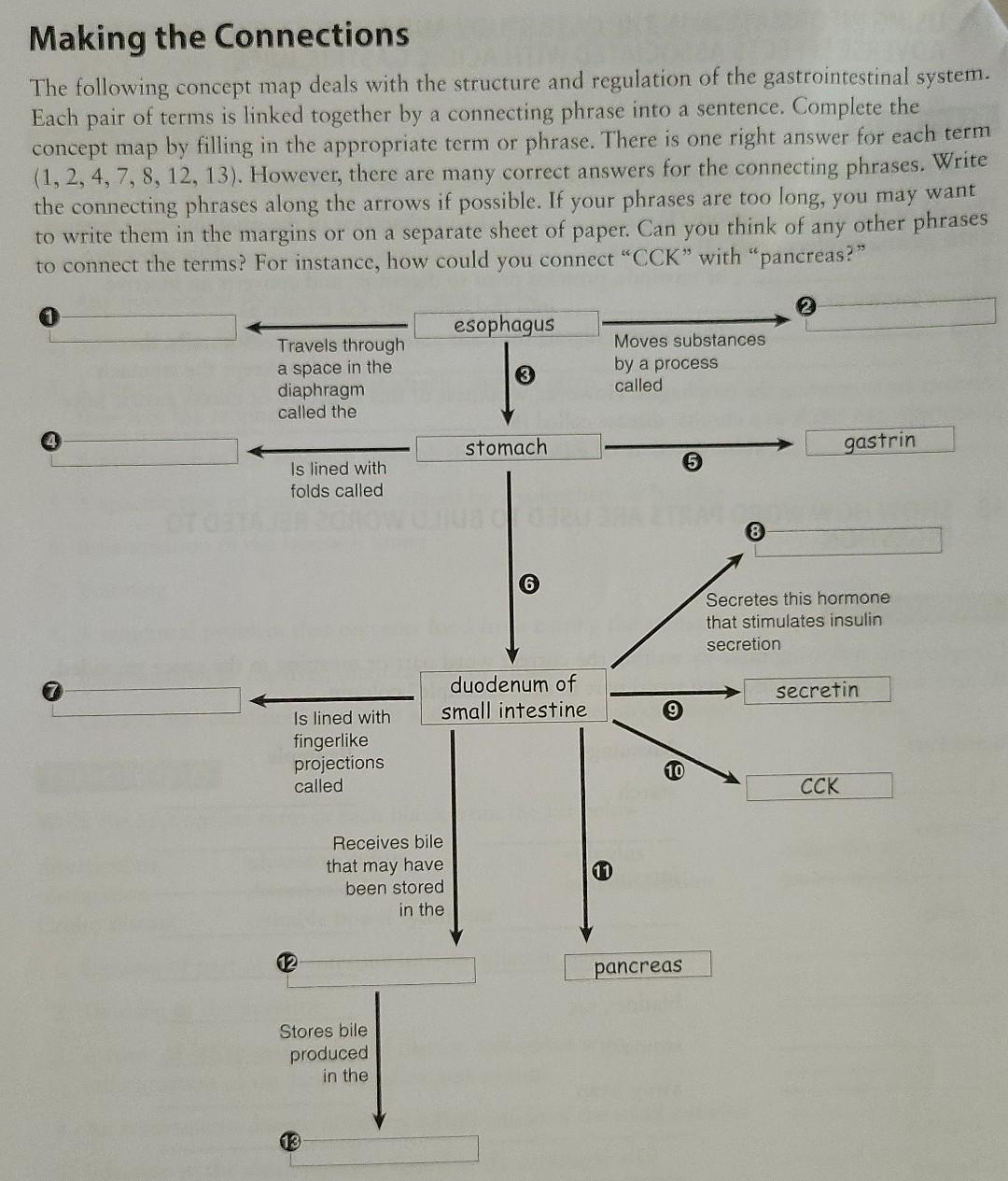 Making The Connections The Following Concept Map Deals With The Structure And Regulation Of The Gastrointestinal System 1
