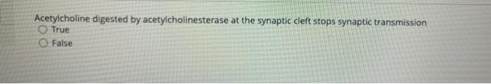 Acetylcholine Digested By Acetylcholinesterase At The Synaptic Cleft Stops Synaptic Transmission True False 1