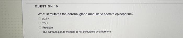 Question 10 What Stimulates The Adrenal Gland Medulla To Secrete Epinephrine Acth Tsh Prolactin The Adrenal Glands Medu 1